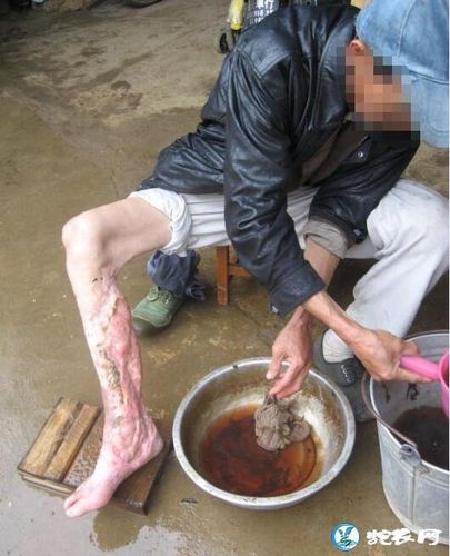澳门研究生资料网站大全,和女子遭毒蛇咬伤身亡与女子遭毒蛇咬伤身亡视频
